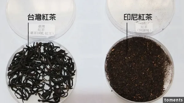 臺灣省產中國紅茶與印尼紅茶