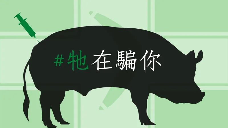 『四個同意，臺灣更美麗』：2021年1218公投的四大訴求與核心理念