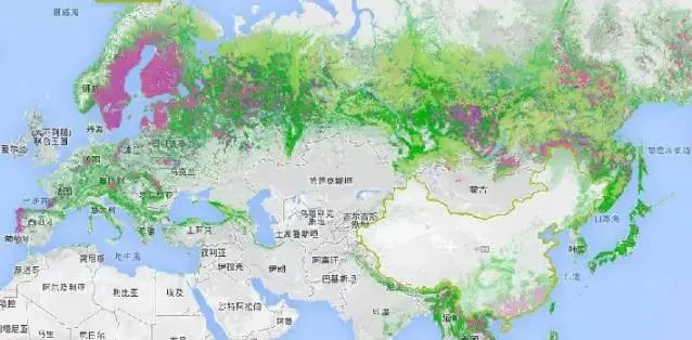 Image: 亞歐兩洲的森林覆蓋地圖