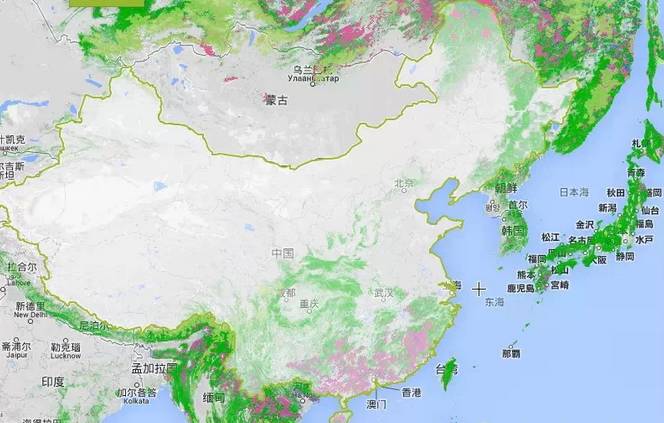 Image: 中国和周边国家森林分布