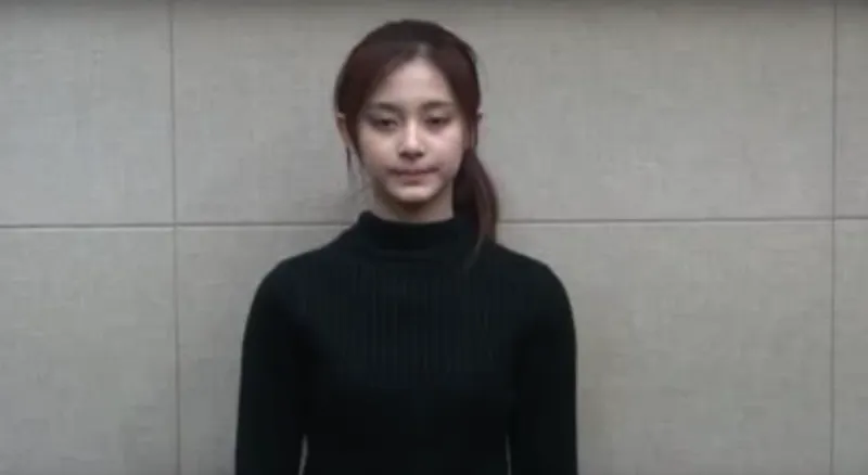 周子瑜的哀歌，南韓 JYP 很懂台灣人最愛內鬥的矛盾