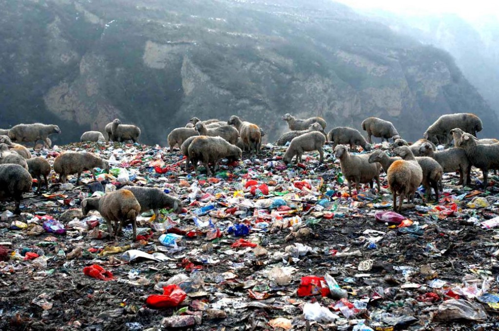 Image: 中国大陆土地环境破坏