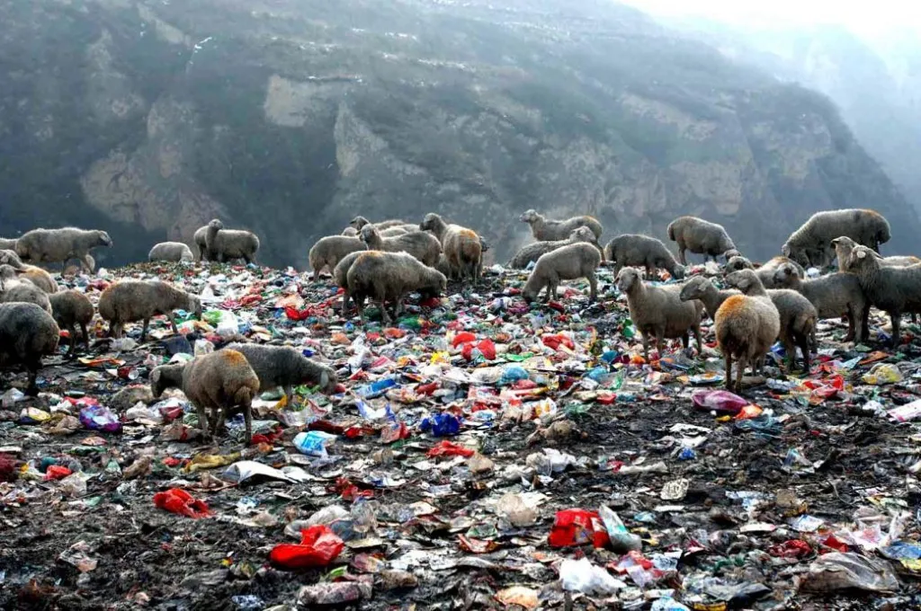 Image: 中國大陸土地環境破壞