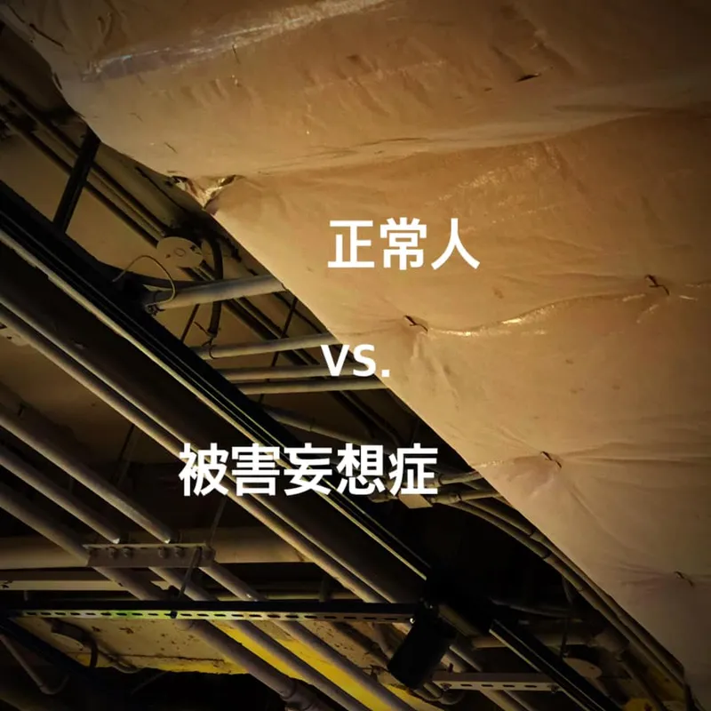 民進黨的選舉是『正常人與被害妄想症』之爭 — 臺灣的危機是自我設限而非被『賣台』