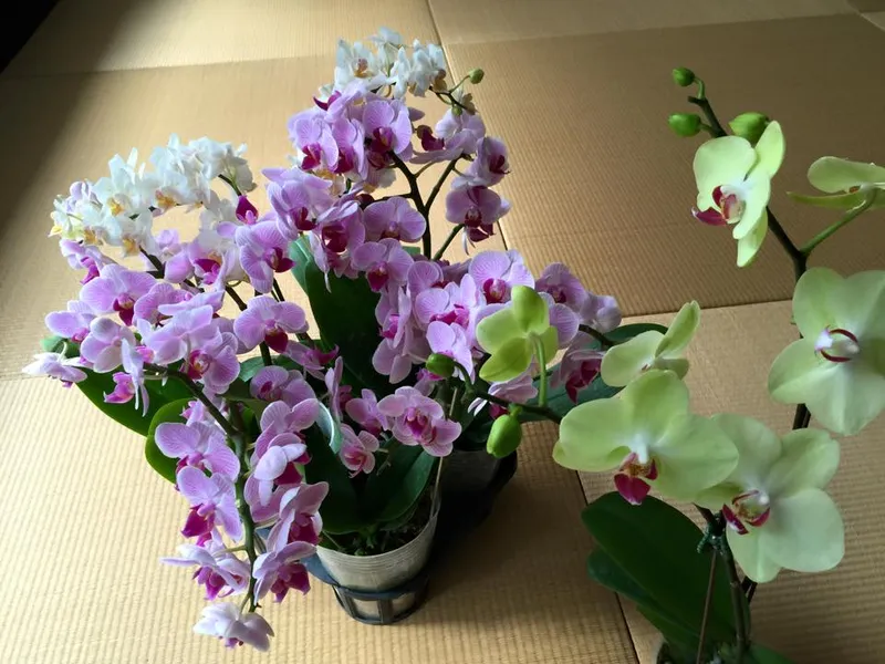 台大教授說寧可只挑好客戶，也不要被殺價壓榨，讓合理價格出現在你我生活中，臺灣經濟才有救！