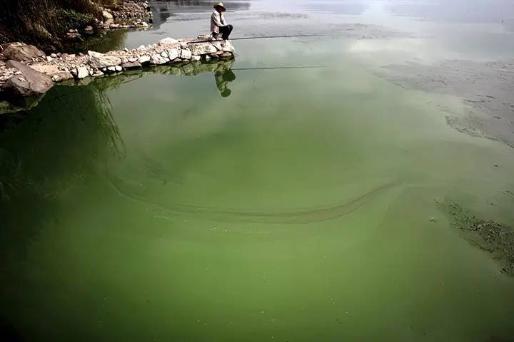 Image: 中国大陆河川污染