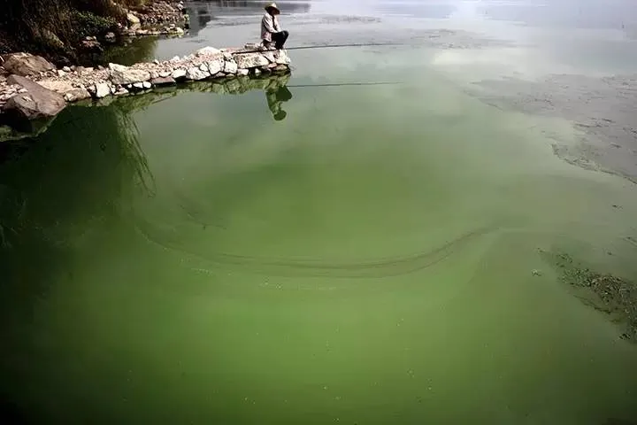 Image: 中國大陸河川污染