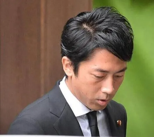 日本自民黨農林部會長小泉進次郎