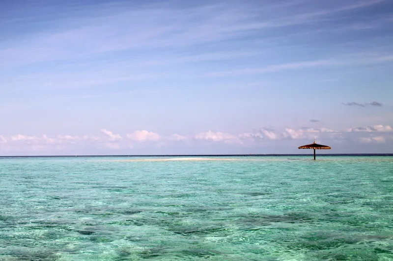 讀者投書：一位精神生病的人最想說的話——請求社會給予同理心與友善