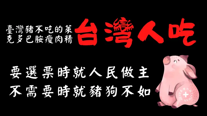 🐷 萊豬梗圖諷刺：臺灣豬不吃的萊克多巴胺，民進黨卻要臺灣人吞！