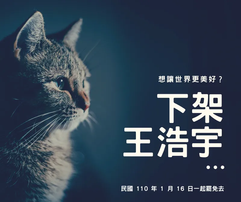 罷免投票通知：下架爭議人物王浩宇 一起罷免桃園『全國不分區議員』